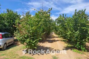 TERRENO NOCCIOLETO E CASALETTO