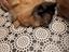 Immagine 4