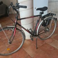 bici da uomo