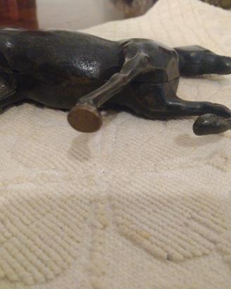 Cavallo