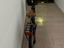 Immagine 6