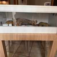 Terrario per Geco Leopardino