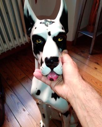 cane alano arlecchino in ceramica vintage 