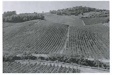 RGE 158/2022 Trib Pavia -LOTTO3