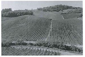 RGE 158/2022 Trib Pavia -LOTTO3