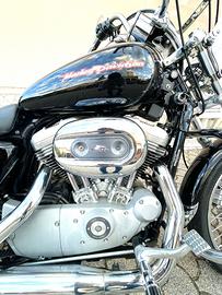 Harley-Davidson Sportster 883 - 2005