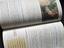 Immagine 3