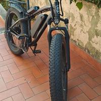 Bicicletta Elettrica