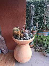 PIANTE GRASSE / CACTUS in grande ciotola su giara