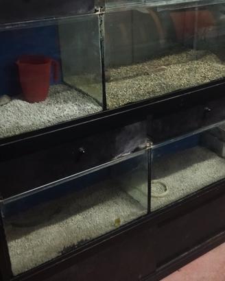 mobile acquario 