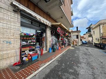 MULTILOCALE A SAN CESAREO