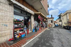 MULTILOCALE A SAN CESAREO