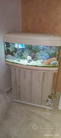 Acquario completo 