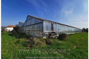 Terreno Agricolo Decimoputzu [A217802]