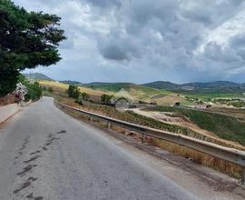 TER. AGRICOLO A ALCAMO