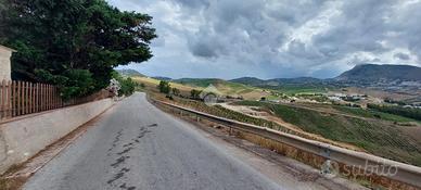 TER. AGRICOLO A ALCAMO