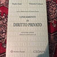 Libro Lineamenti di diritto privato