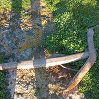 aratro antico in legno