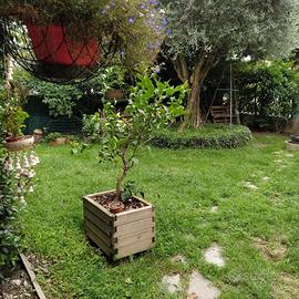 SELVAZZANO CASA SINGOLA 400 MQ GIARDINO