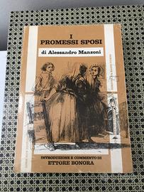 I Promessi Sposi
