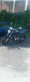 hornet 600 201  al miglore offerente,