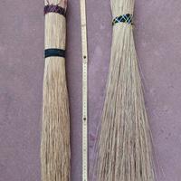 Scopini di Sagina Nuovi 