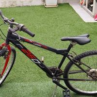 bici Montain bike da uomo