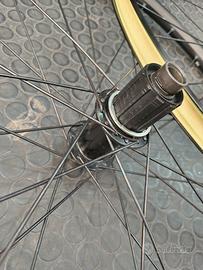Ruote Gravel WTB disc