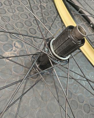 Ruote Gravel WTB disc