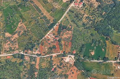 Fondo rustico a Maierato