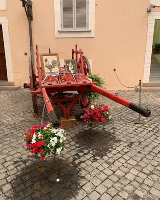 Traino per cavalli