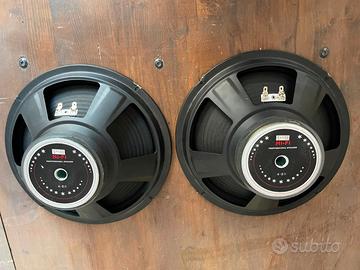 Coppia di woofer cono 25cm  , 10 pollici