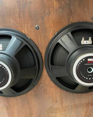 Coppia di woofer cono 25cm  , 10 pollici