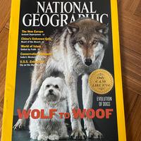 National Geographic gennaio  2002 - wolf of woof
