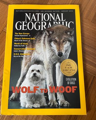 National Geographic gennaio  2002 - wolf of woof
