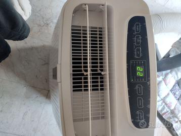 Climatizzatore portatile