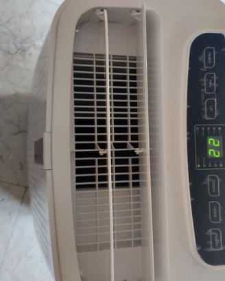 Climatizzatore portatile