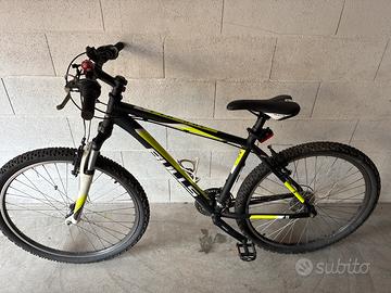 Mtb bulls