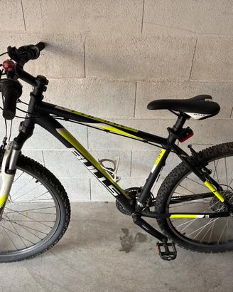 Mtb bulls