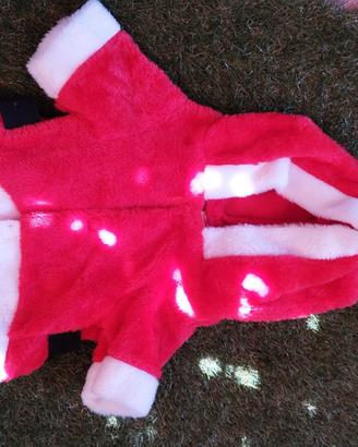 Vestito Babbo Natale per cani piccoli
