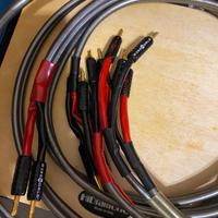 Cavi di potenza wireworld Orbit 5 Biwiring 3m.