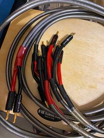 Cavi di potenza wireworld Orbit 5 Biwiring 3m.