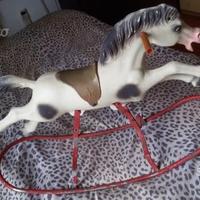 Canova giochi cavallino