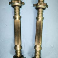 Coppia manubri filettati bodybuilding Domyos