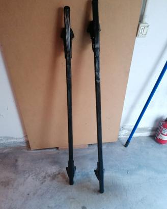 barre portatutto thule