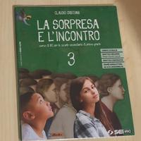 La sorpresa e l’incontro 3