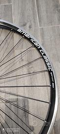 Ruota Anteriore Corsa American Classic Sprint-350