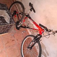 bicicleta da uomo 