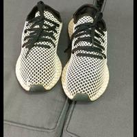 scarpa ginnastica Adidas estiva