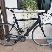 CANNONDALE Synapse Carbon Ultegra tg.54